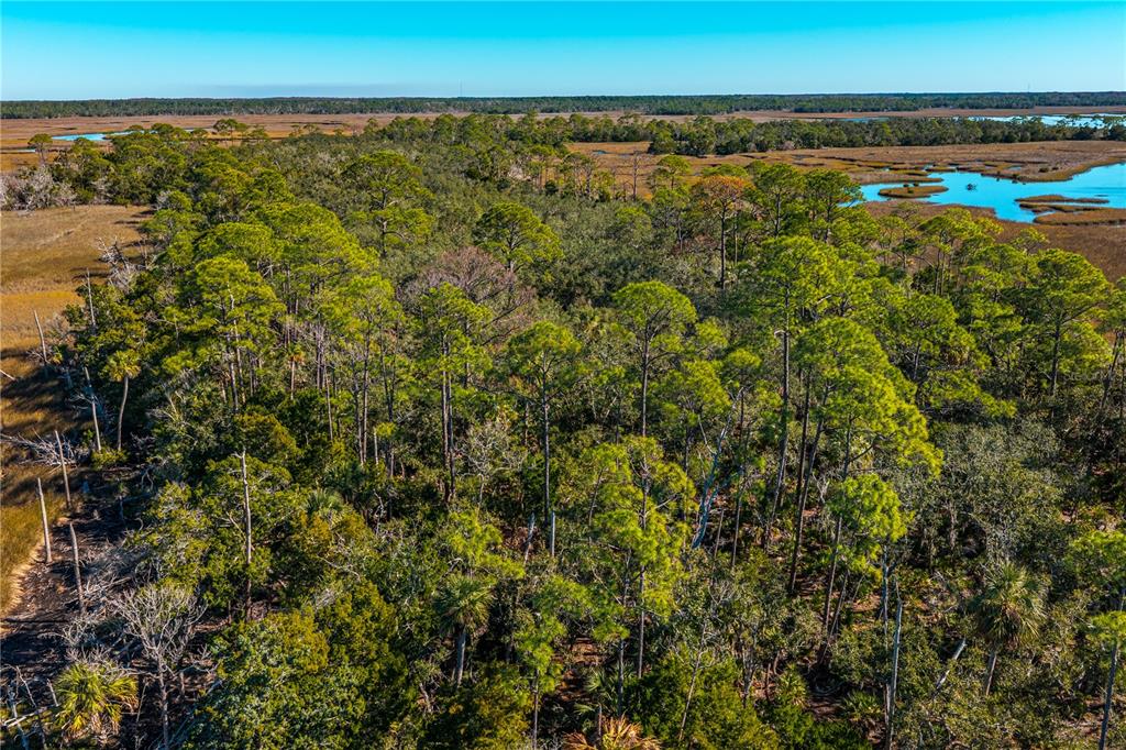 Clark Island Cedar Key, FL 32625 - Photo 21 of 46 an aerial view of a houses with a yard