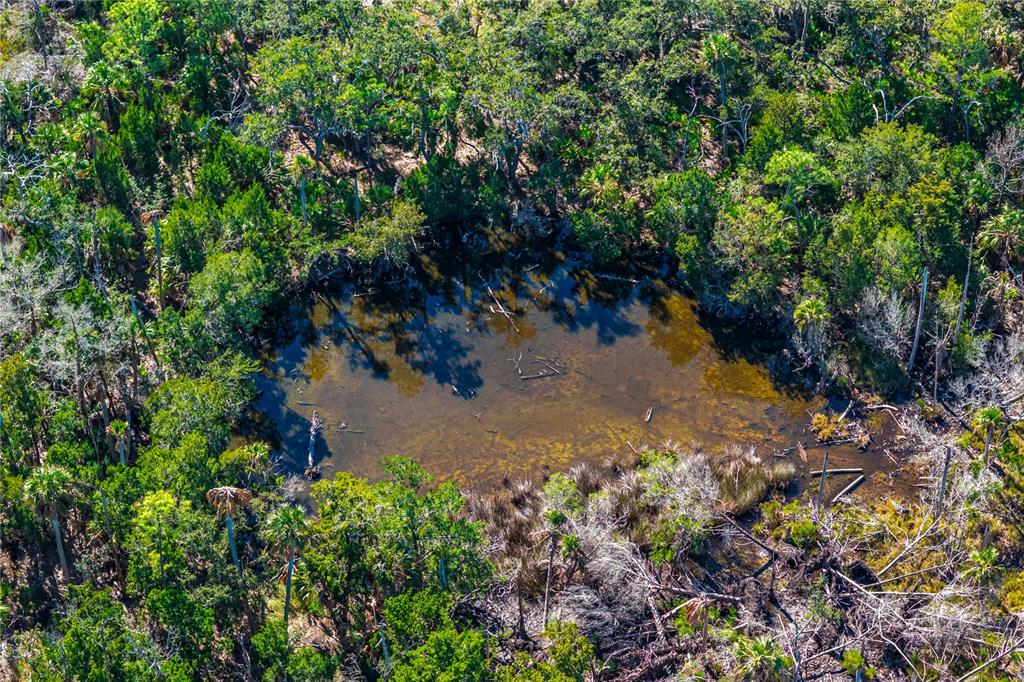 Clark Island Cedar Key, FL 32625 - Photo 26 of 46