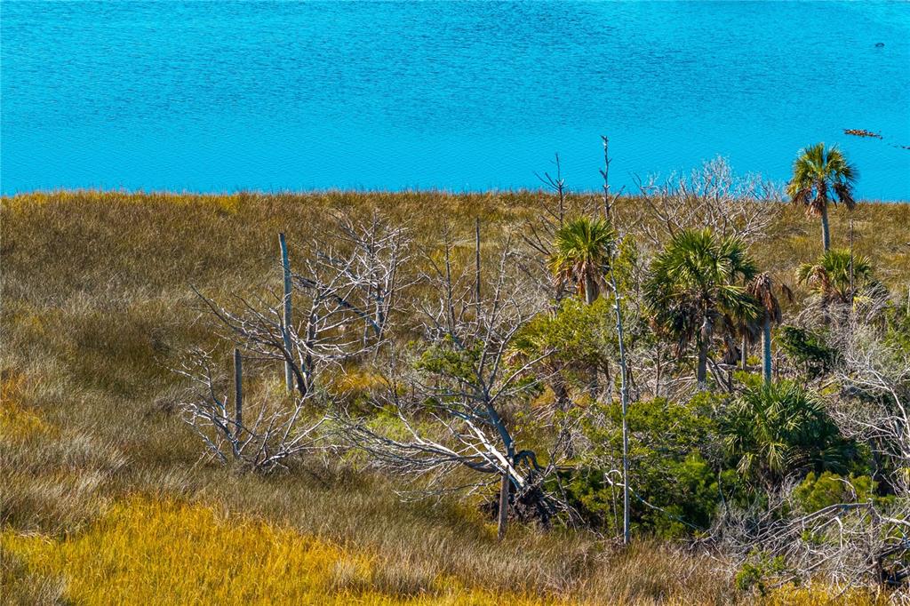 Clark Island Cedar Key, FL 32625 - Photo 29 of 46 a view of a field