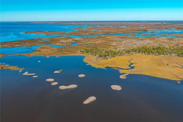 a view of an ocean beach