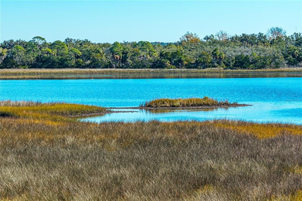 Clark Island Cedar Key, FL 32625 - Photo 8 of 46 a view of a lake with a yard