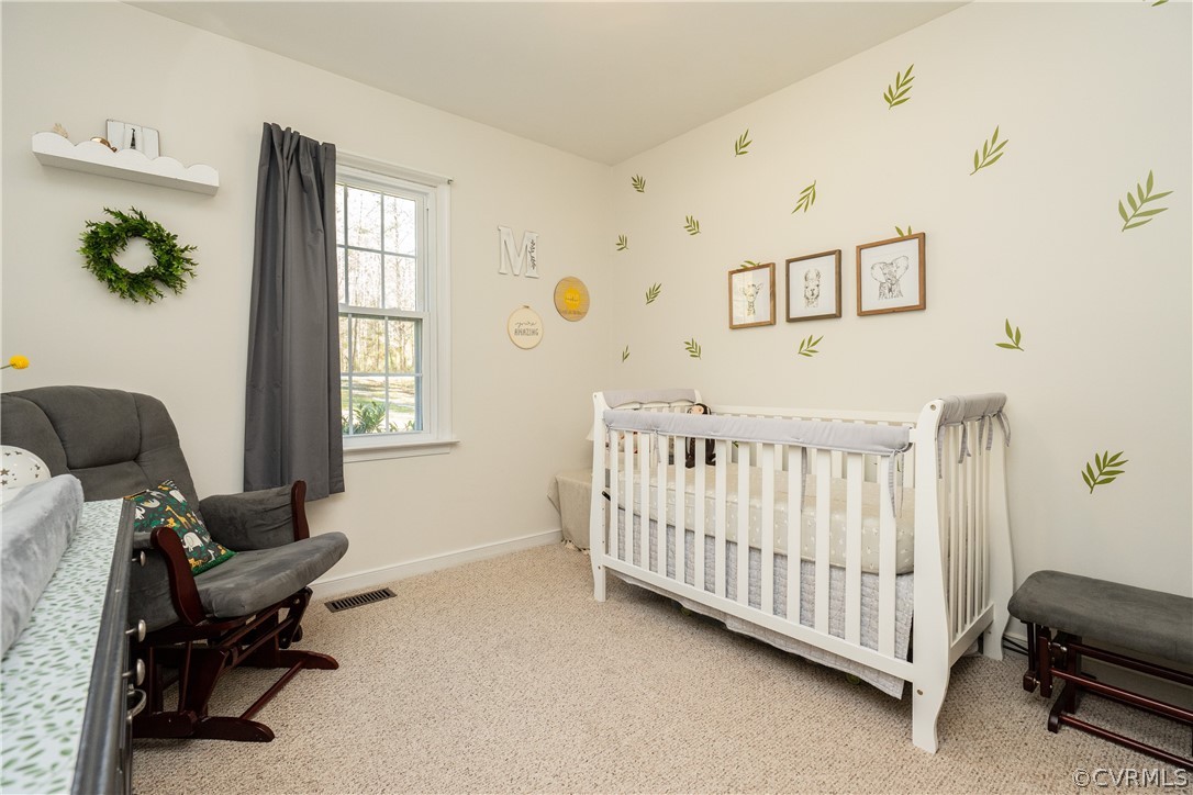 6681 Clark Road Powhatan, VA 23139 - Photo 11 of 20 Gallery Image 11