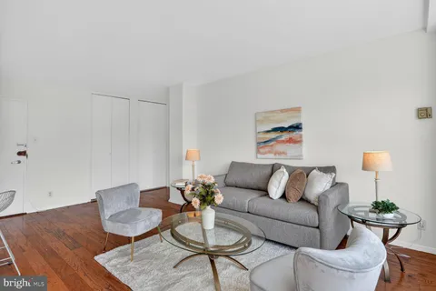 a living room with furniture and a potted plant on table