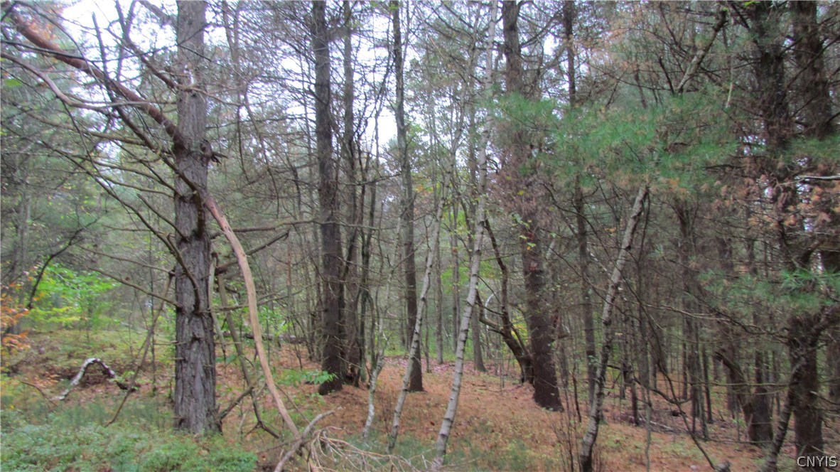 0 North To South Road Brantingham, NY 13312 - Photo 15 of 20 Gallery Image 15