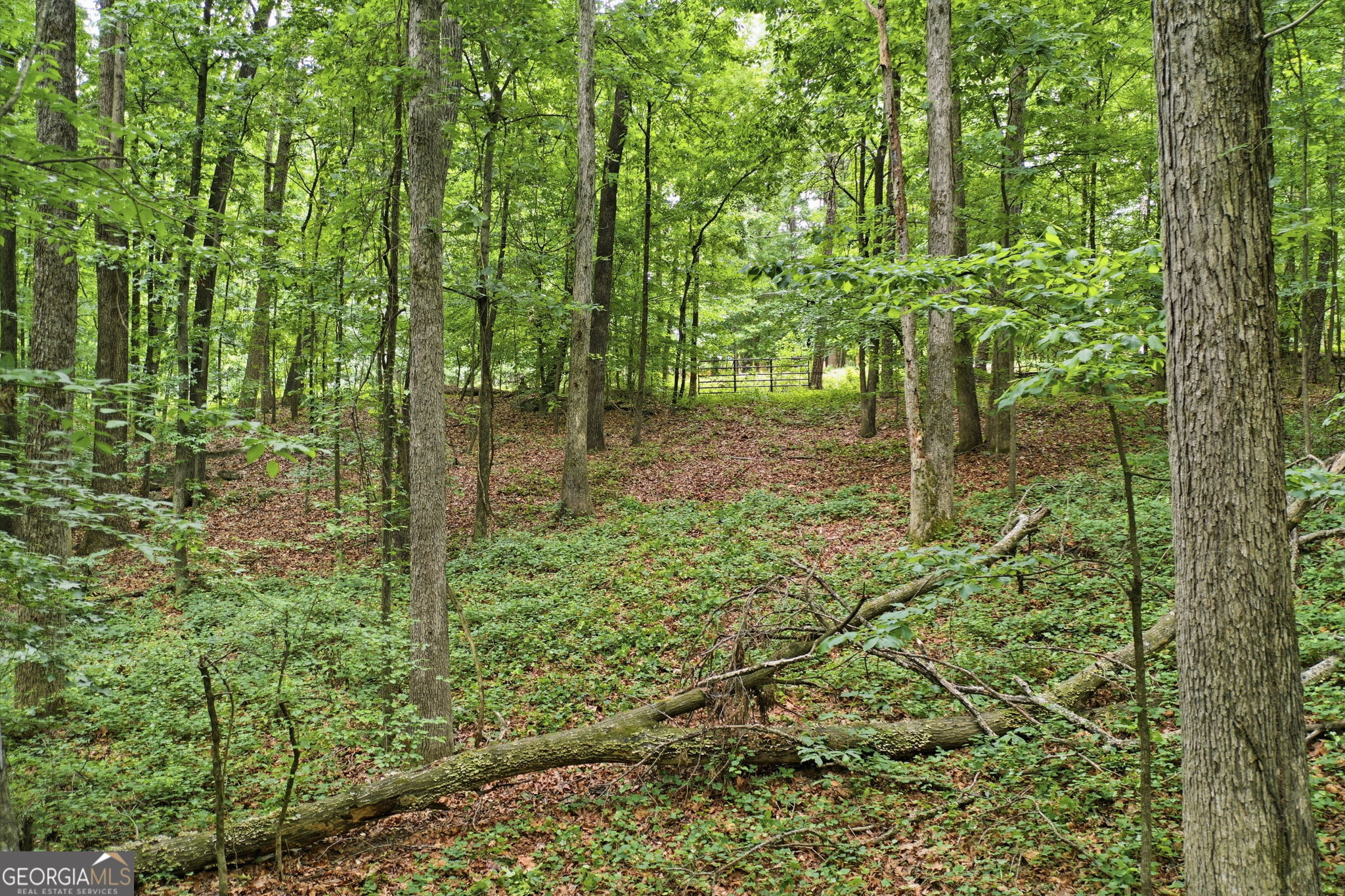 1504 Academy Church Road Jefferson, GA 30549 - Photo 15 of 21
