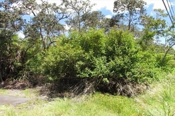 Lot B Haunani Road Volcano, HI 96785 - Photo 1 of 5