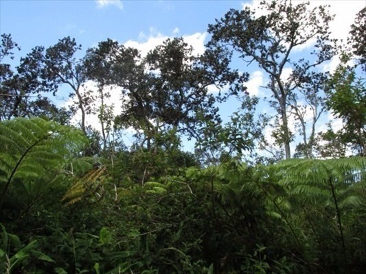 Lot B Haunani Road Volcano, HI 96785 - Photo 5 of 5