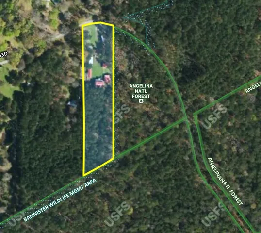 a view of a small garden