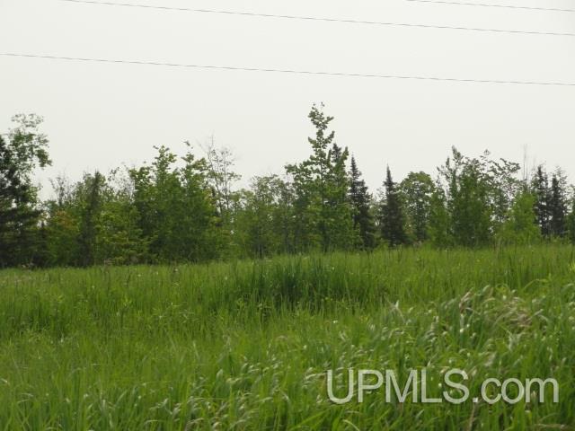 Tbd Budreau Road Baraga, MI 49908 - Photo 3 of 12 Gallery Image 3