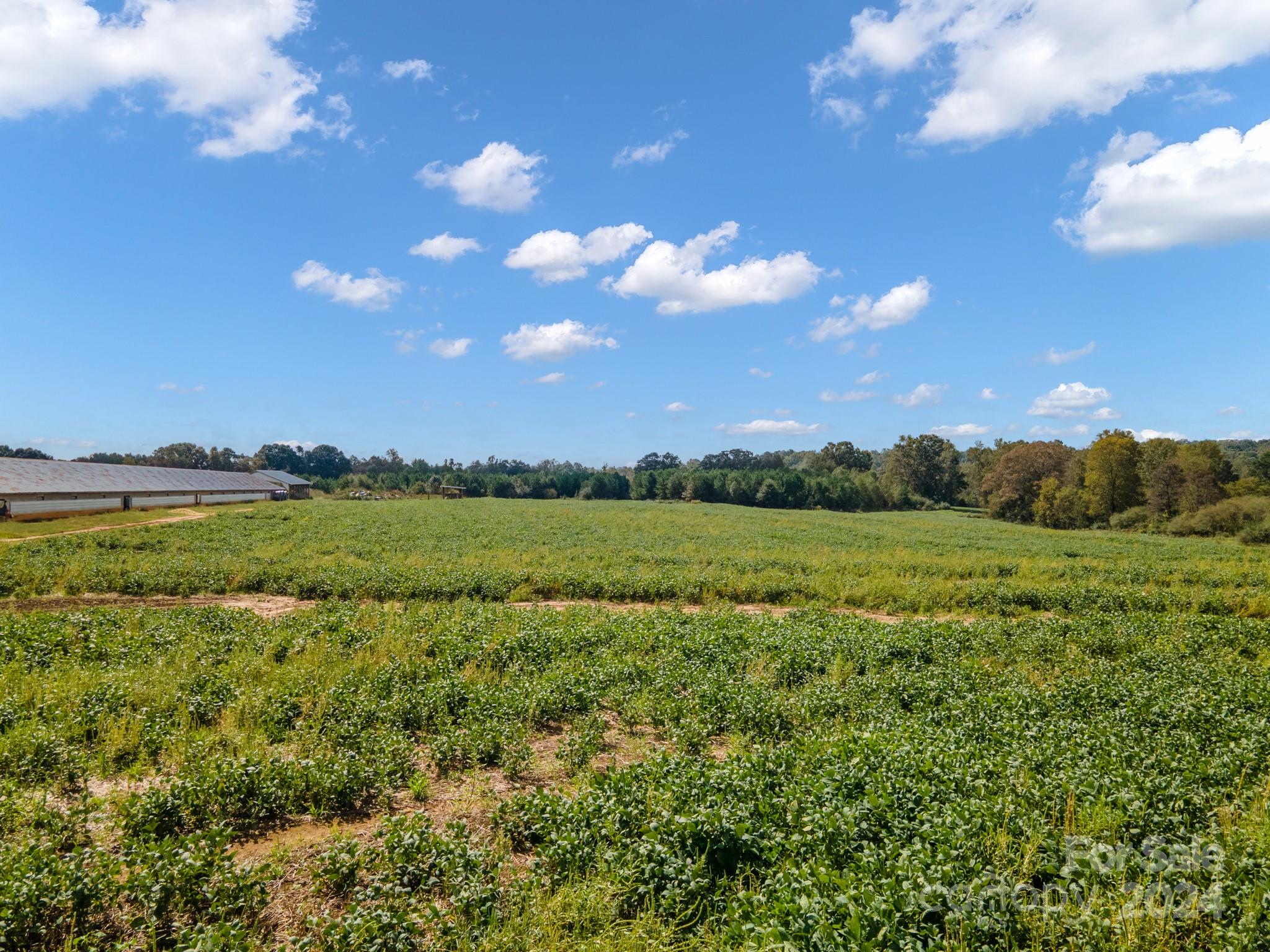 0 Peeler Road Vale, NC 28168 - Photo 12 of 22