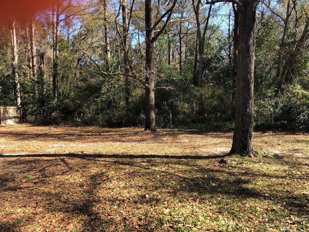 315 Blackman Road Dothan, AL 36301 - Photo 18 of 18 Backyard view
