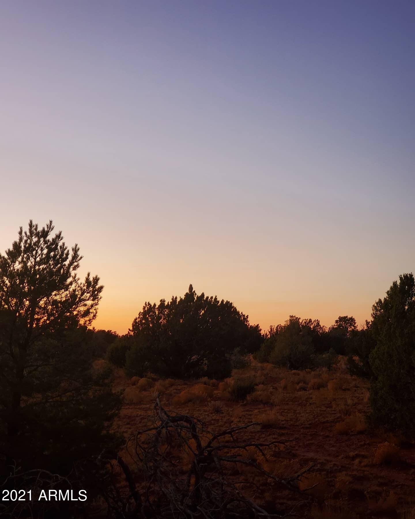 6410 Lasso Loop Williams, AZ 86046 - Photo 5 of 8 IMG_20201019_183526_284