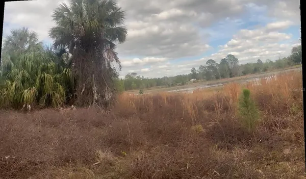 a view of backyard of a house