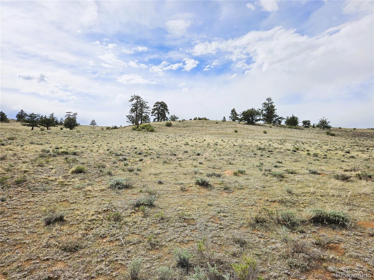 24131 Chato Road Hartsel, CO 80449 - Photo 28 of 28