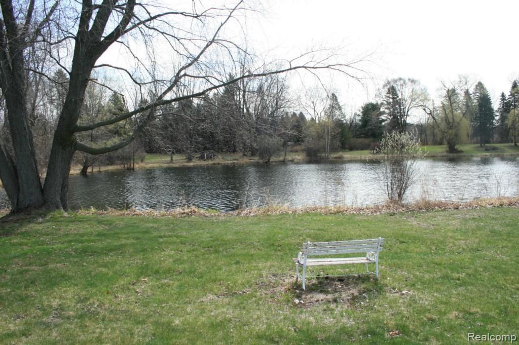 2581 Fishbeck Road Howell, MI 48843 - Photo 9 of 19 6 pond.jpg