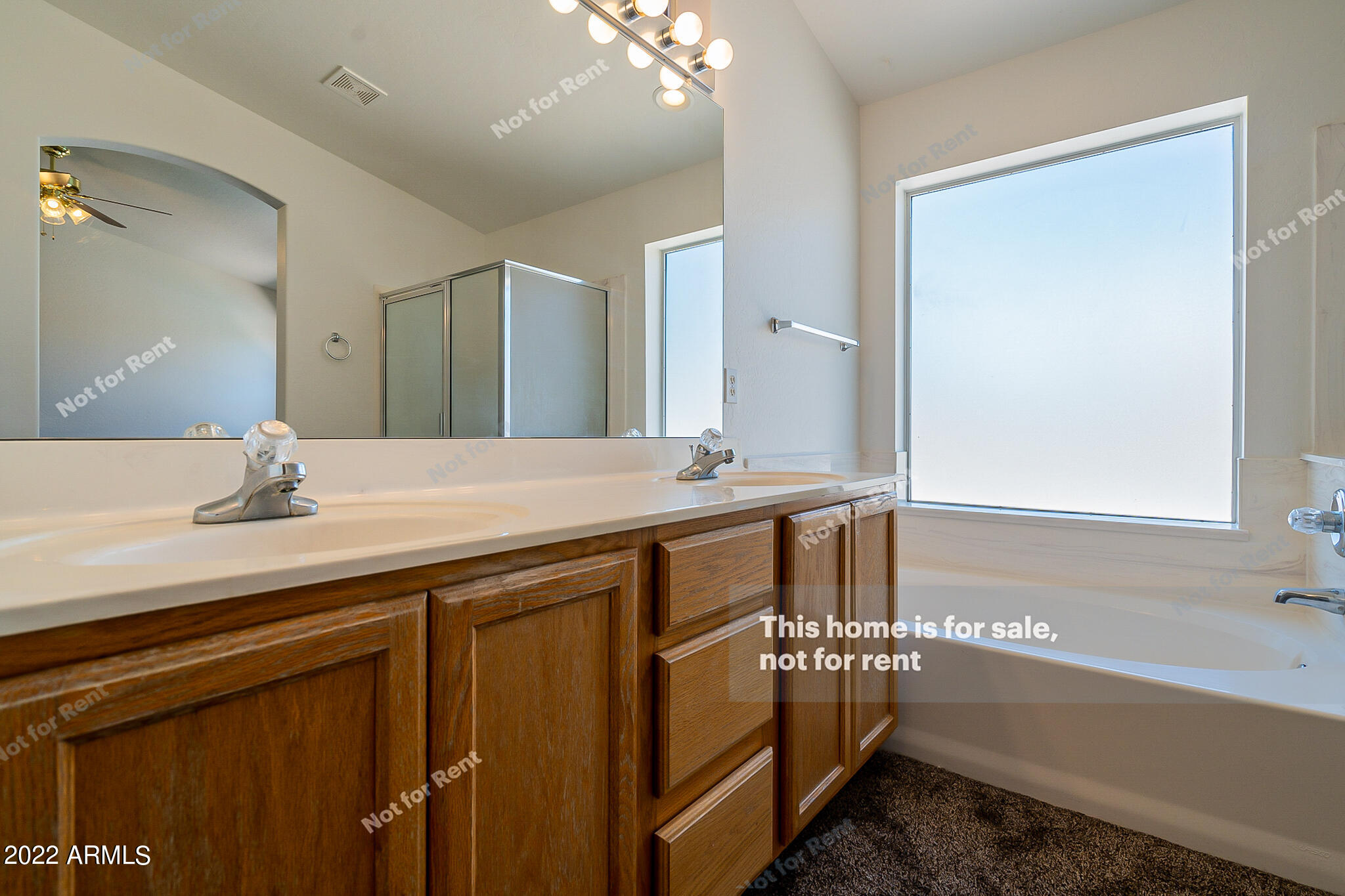 11536 East Decatur Street Mesa, AZ 85207 - Photo 6 of 24 listing_3