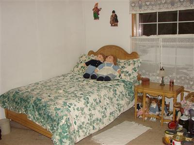 6701 Norconk Road Bear Lake, MI 49614 - Photo 11 of 13 Additional Photo