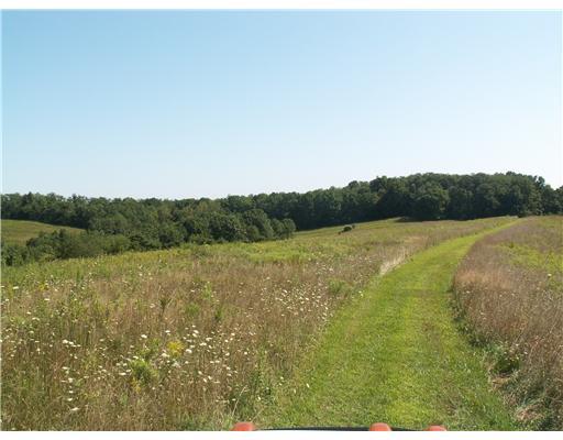 755 Sugar Run Road Eighty Four, PA 15330 - Photo 1 of 7 Land/Lot. Beautiful rolling fields perfect for a multitude of uses.