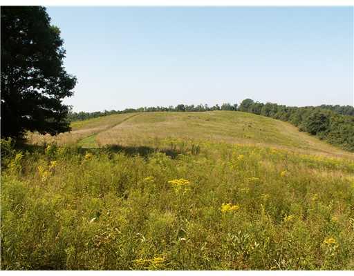 755 Sugar Run Road Eighty Four, PA 15330 - Photo 2 of 7 Land. Over 4000 of this property borders Mingo Park. Prime stable property.