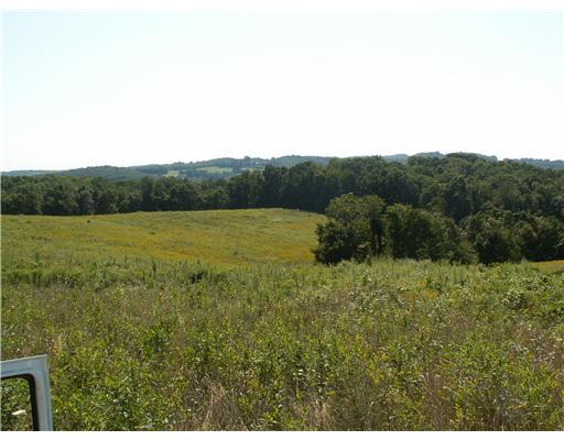755 Sugar Run Road Eighty Four, PA 15330 - Photo 3 of 7 Land/Lot. Land goes on forever