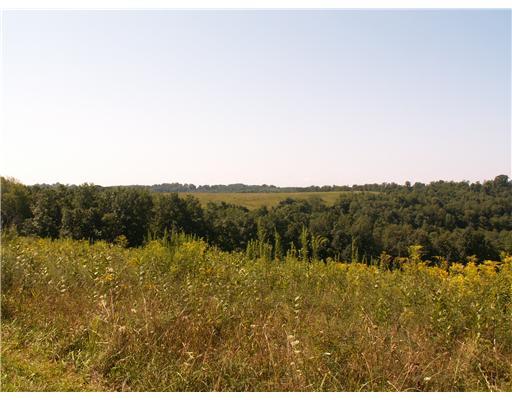 755 Sugar Run Road Eighty Four, PA 15330 - Photo 5 of 7 Land/Lot.