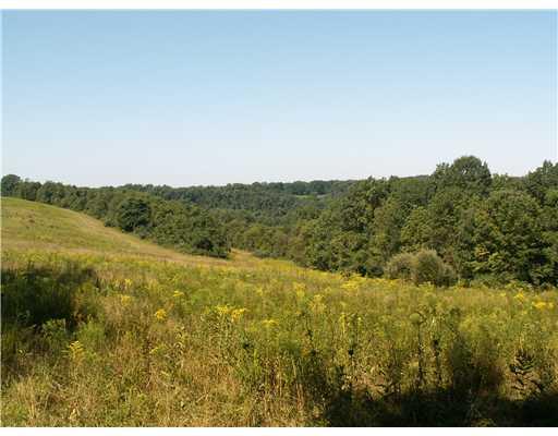 755 Sugar Run Road Eighty Four, PA 15330 - Photo 7 of 7 Land.