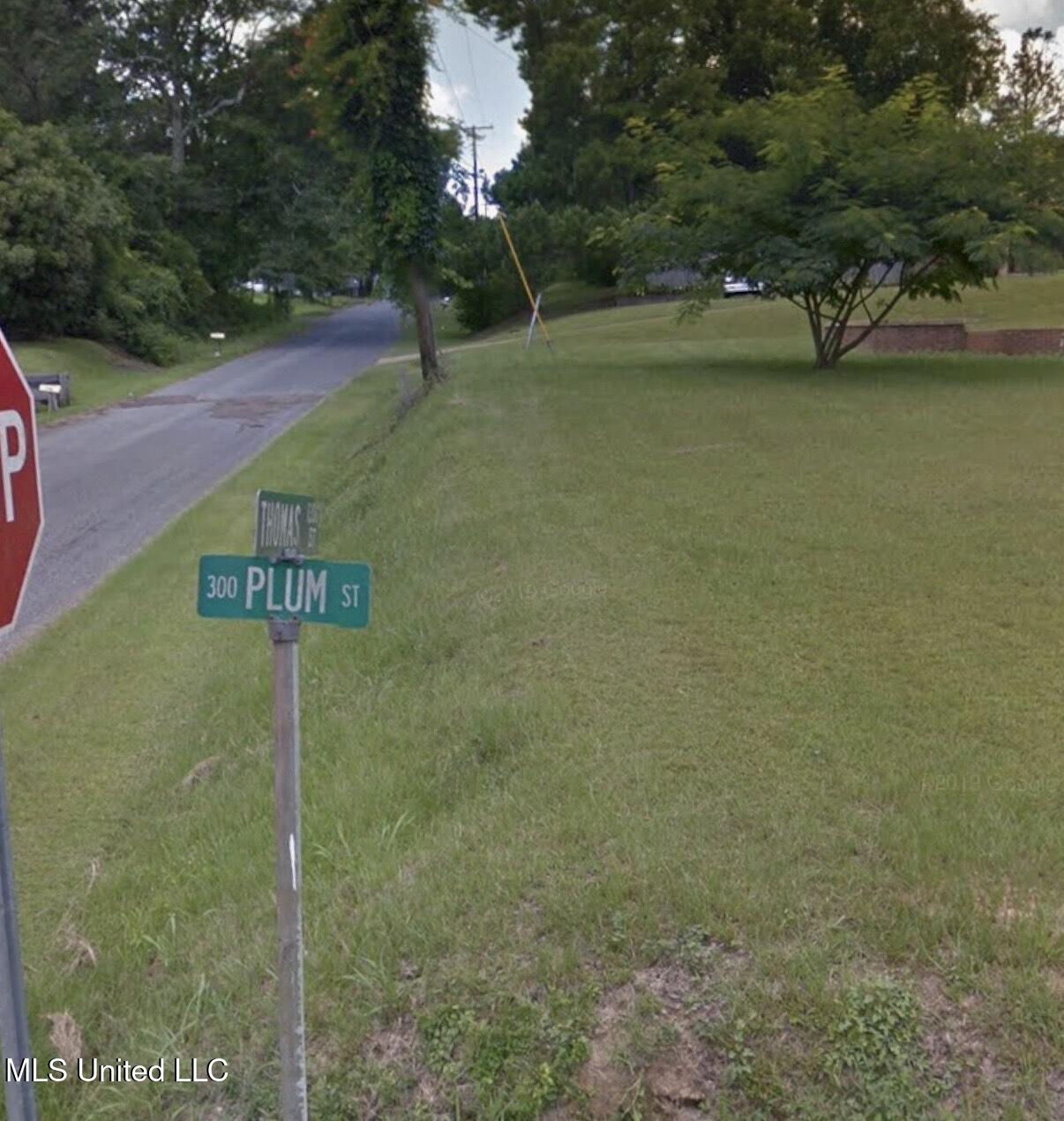 1306 Thomas Street Summit, MS 39666 - Photo 4 of 4 IMG_0008