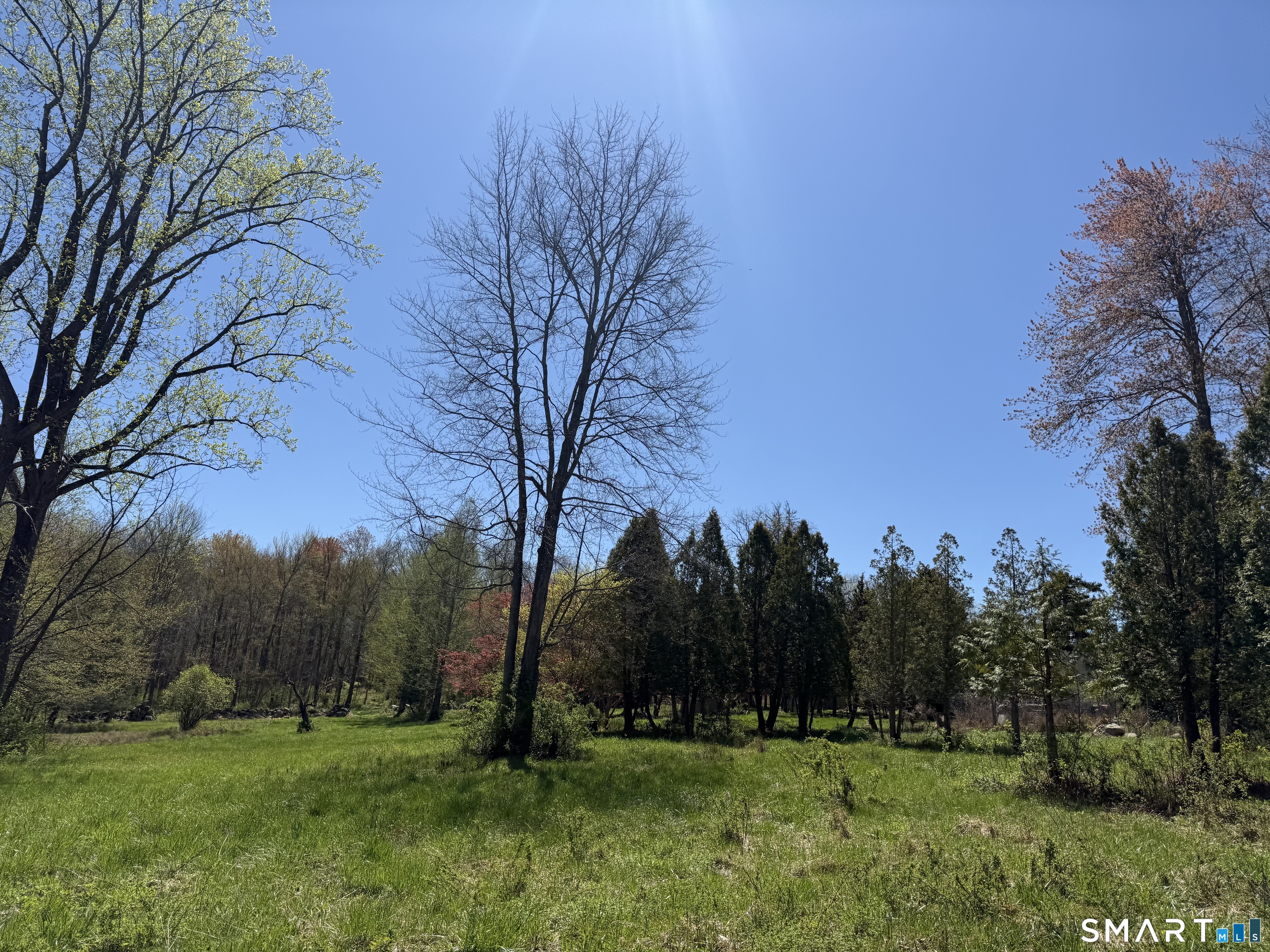 163 Clapboard Ridge Road Danbury, CT 06811 - Photo 10 of 17 a view of grassy field with trees