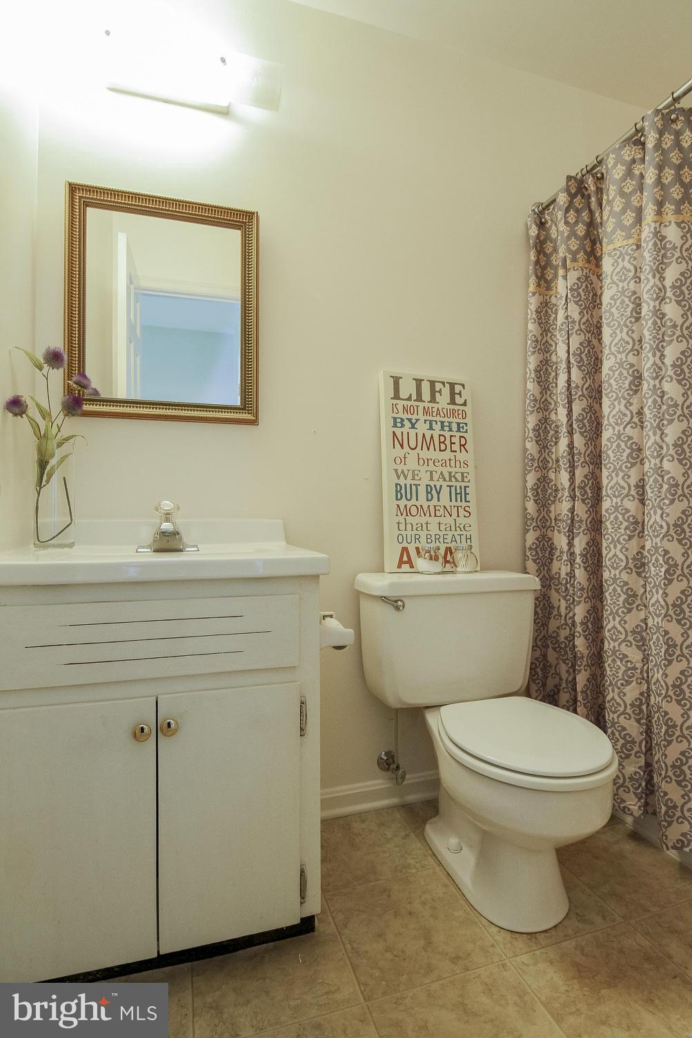 4002 Ensors Shop Road Midland, VA 22728 - Photo 16 of 25 FULL MASTER BATH