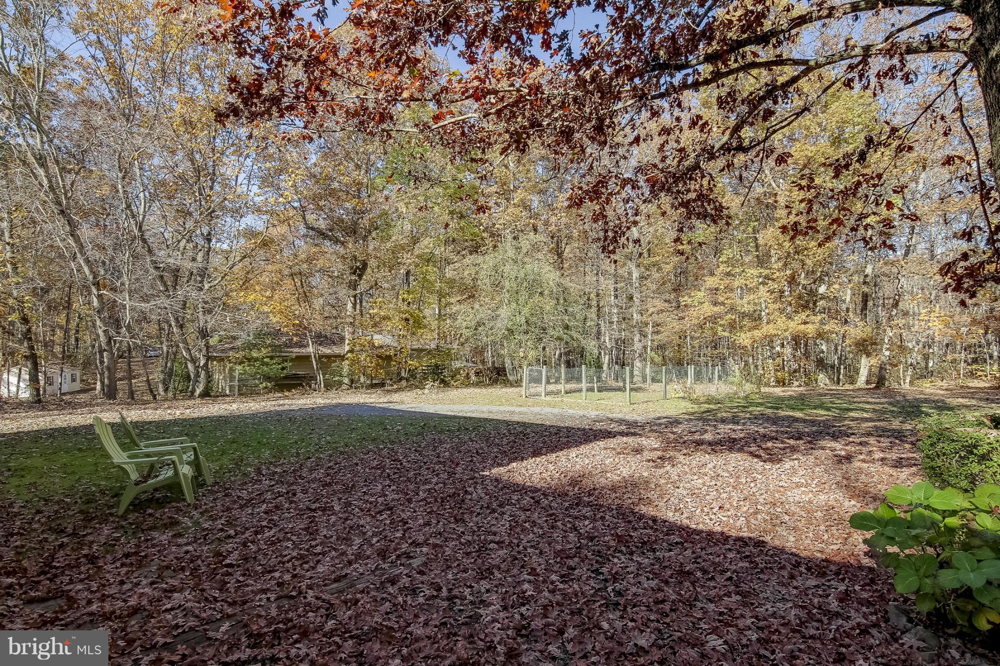 4002 Ensors Shop Road Midland, VA 22728 - Photo 23 of 25 LOVELY YARD PHOTO