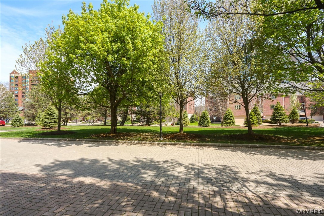 124 Rivermist Drive, Unit 124 Buffalo, NY 14202 - Photo 3 of 41