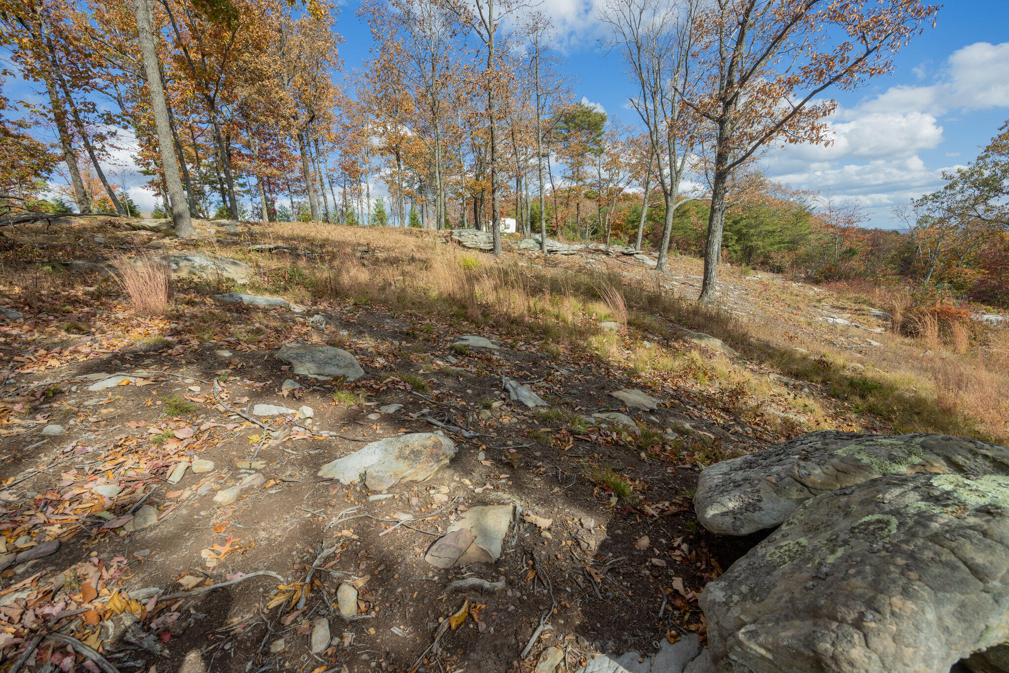 0 Canyon Ridge Road, Unit C14 C15 Rising Fawn, GA 30738 - Photo 15 of 71 rp2310262-2013