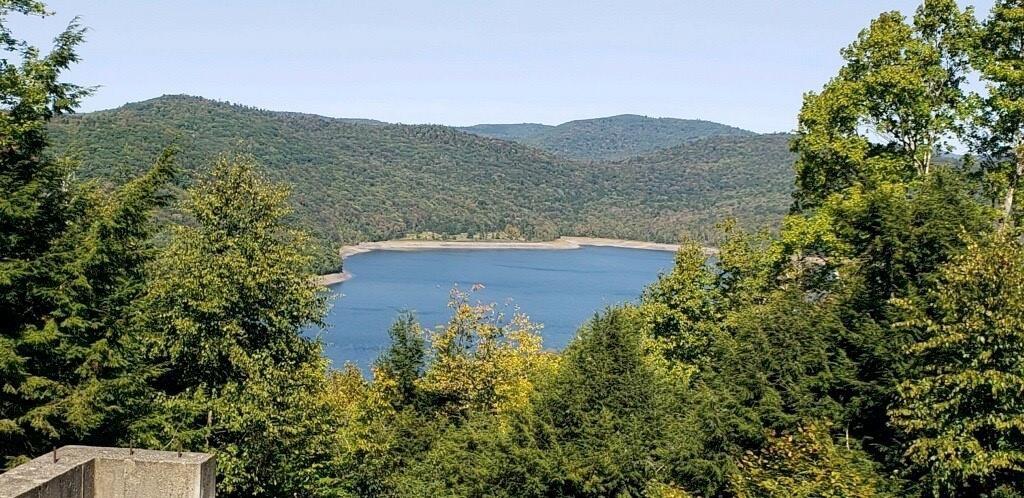 0 Crystal Lake Road Deposit, NY 13754 - Photo 2 of 6 Gallery Image 2