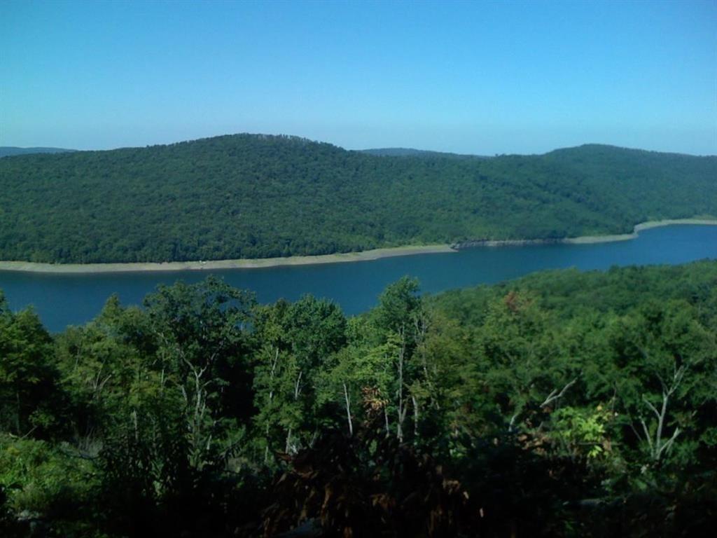 0 Crystal Lake Road Deposit, NY 13754 - Photo 3 of 6 Gallery Image 3