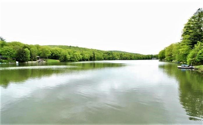0 Crystal Lake Road Deposit, NY 13754 - Photo 4 of 6 Gallery Image 4