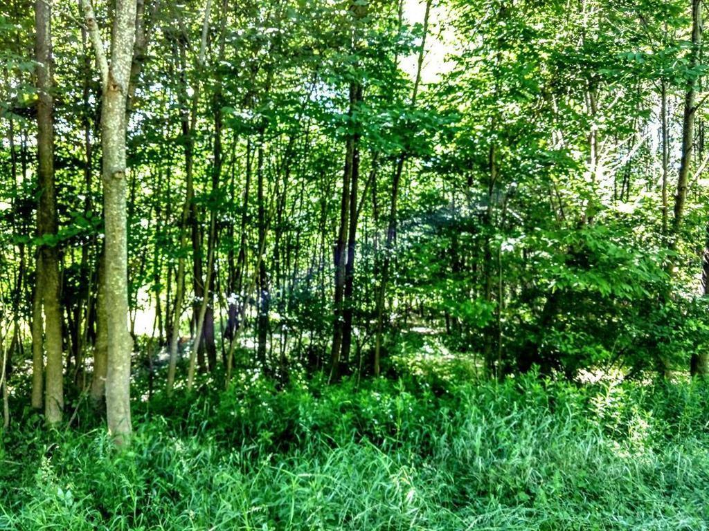 0 Crystal Lake Road Deposit, NY 13754 - Photo 5 of 6 Gallery Image 5