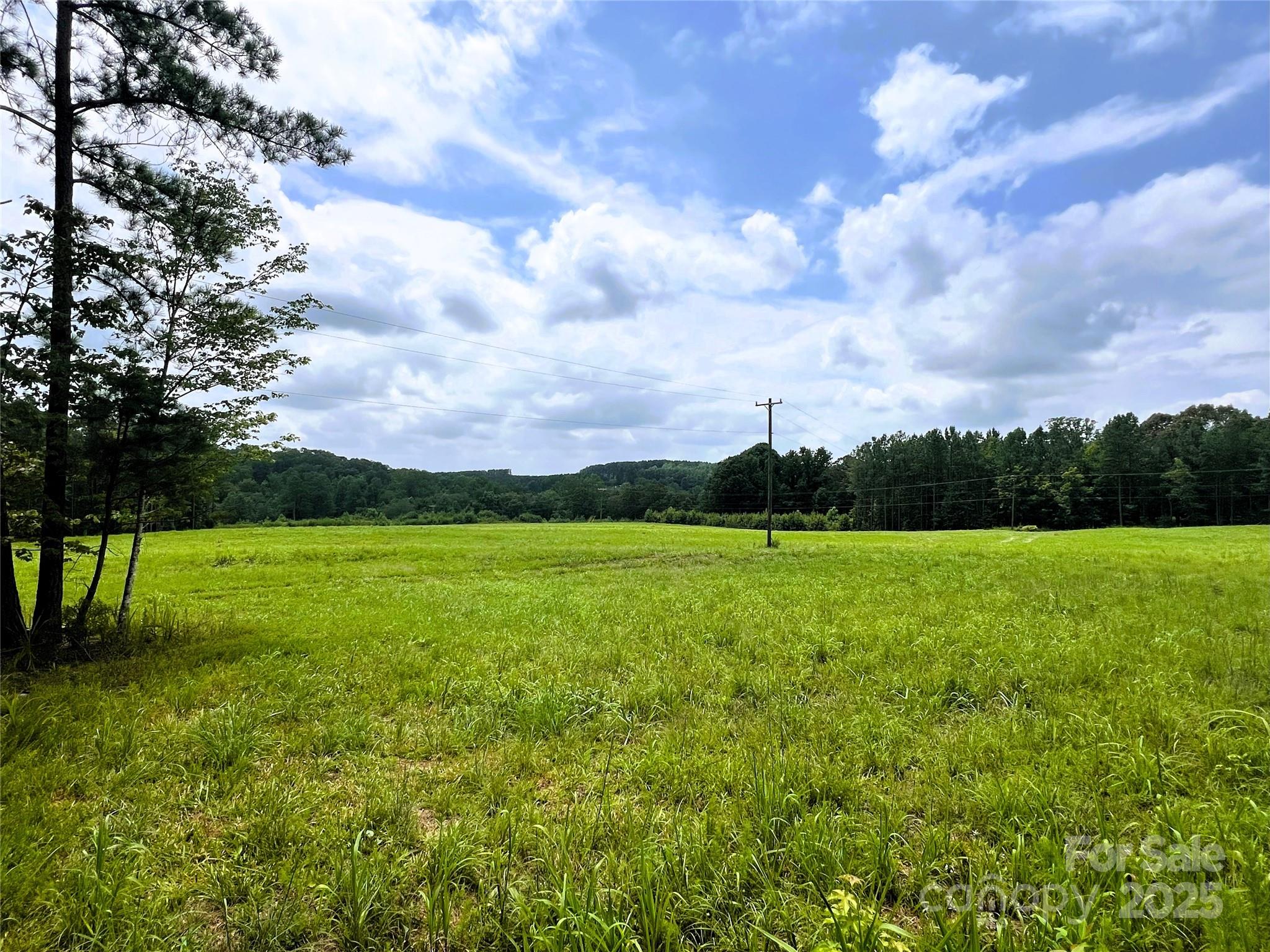 1 John Stroud Road Ellenboro, NC 28040 - Photo 12 of 21 a view of field with river and trees