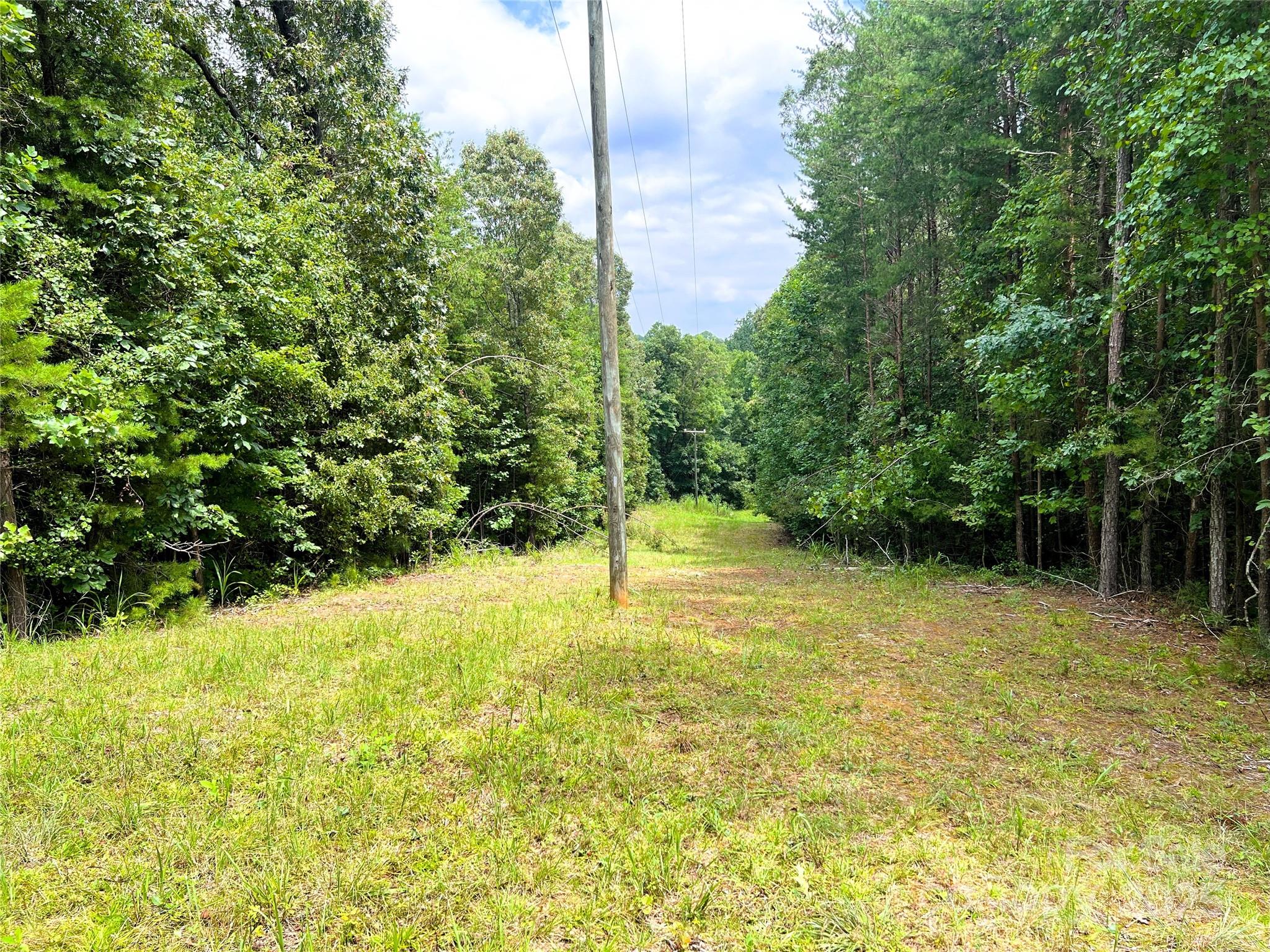1 John Stroud Road Ellenboro, NC 28040 - Photo 13 of 21 a view of a yard with trees