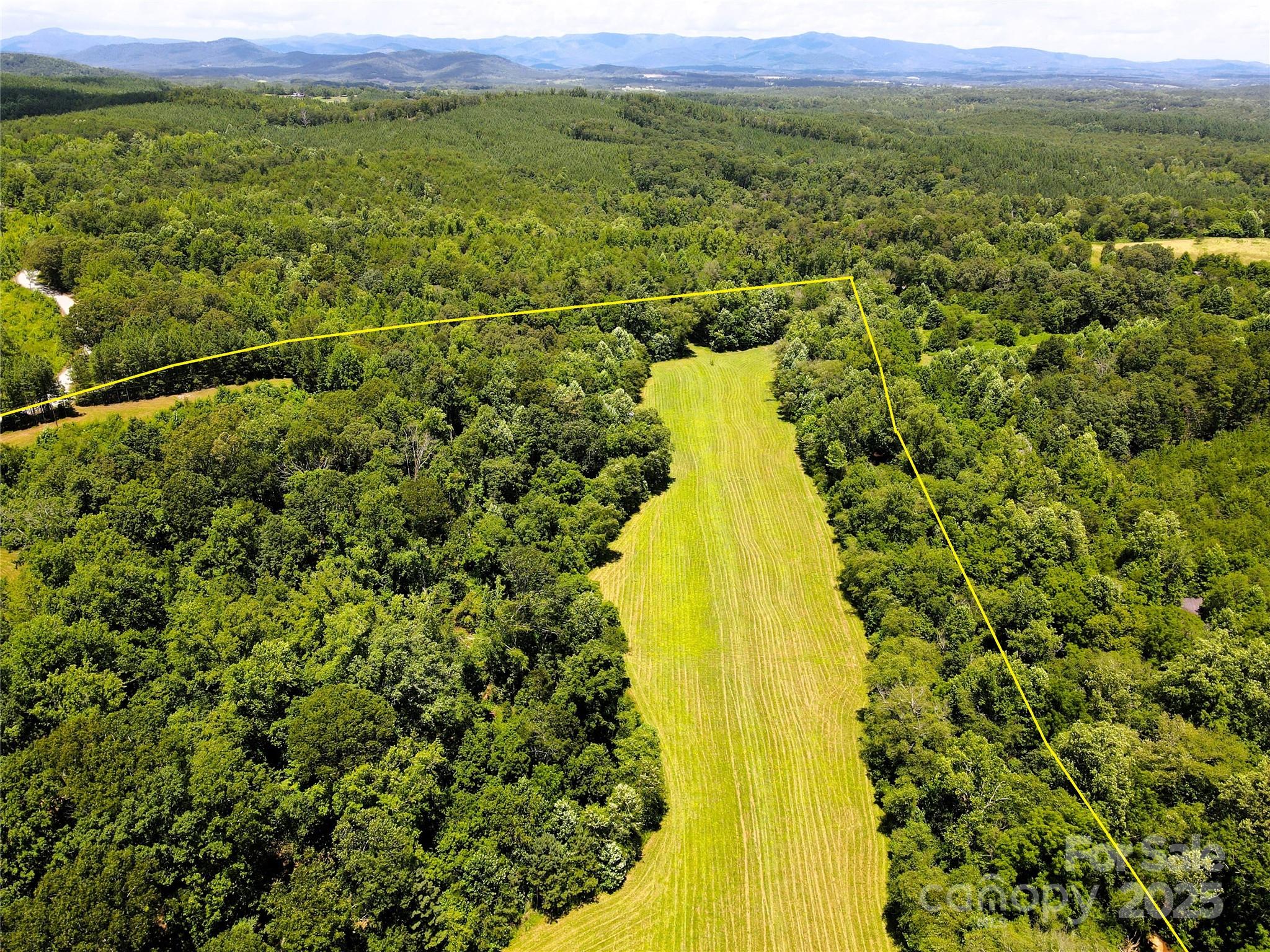 1 John Stroud Road Ellenboro, NC 28040 - Photo 2 of 21 a view of a yard with plants and large trees