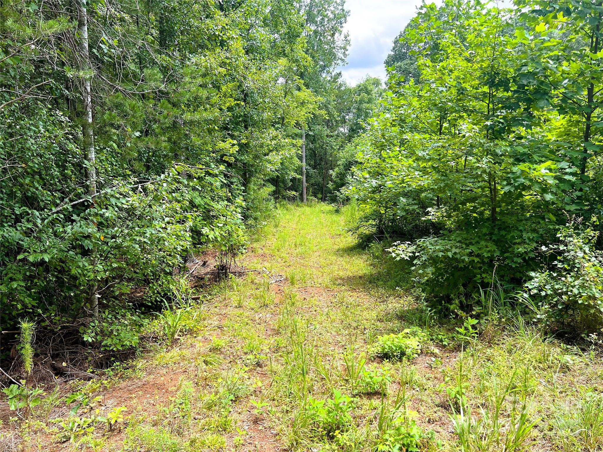 1 John Stroud Road Ellenboro, NC 28040 - Photo 21 of 21 a view of a yard