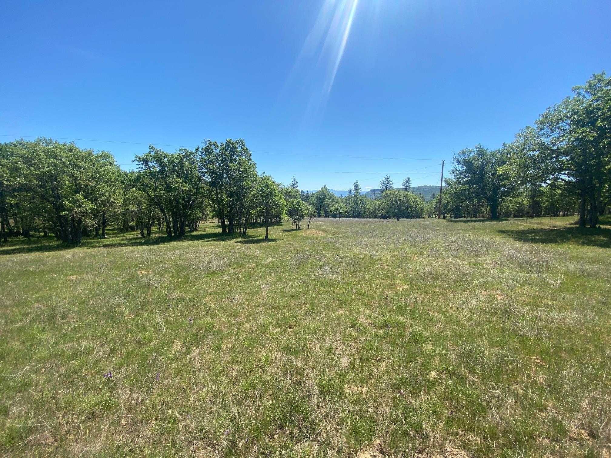 13067 Duggan Road Gold Hill, OR 97525 - Photo 9 of 11 Meadow 4