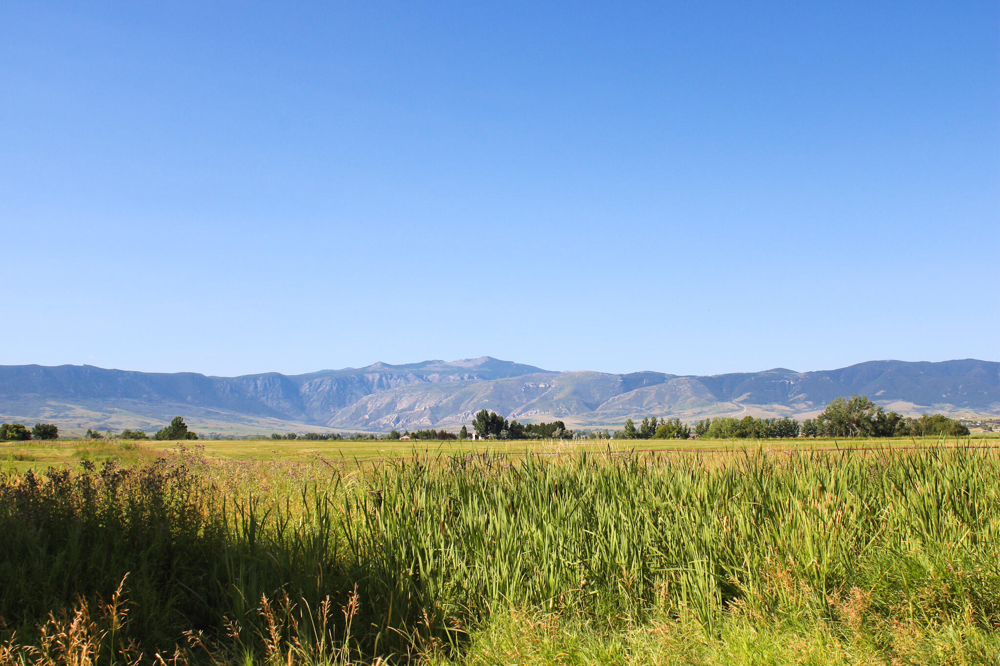 Metz Road Sheridan, WY 82801 - Photo 12 of 12 IMG_0817