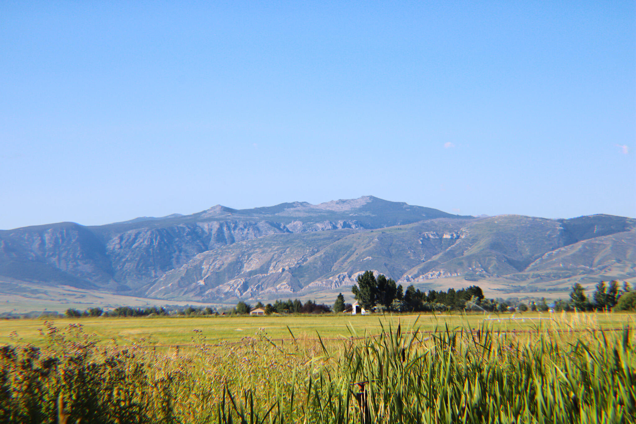 Metz Road Sheridan, WY 82801 - Photo 5 of 12 IMG_0822