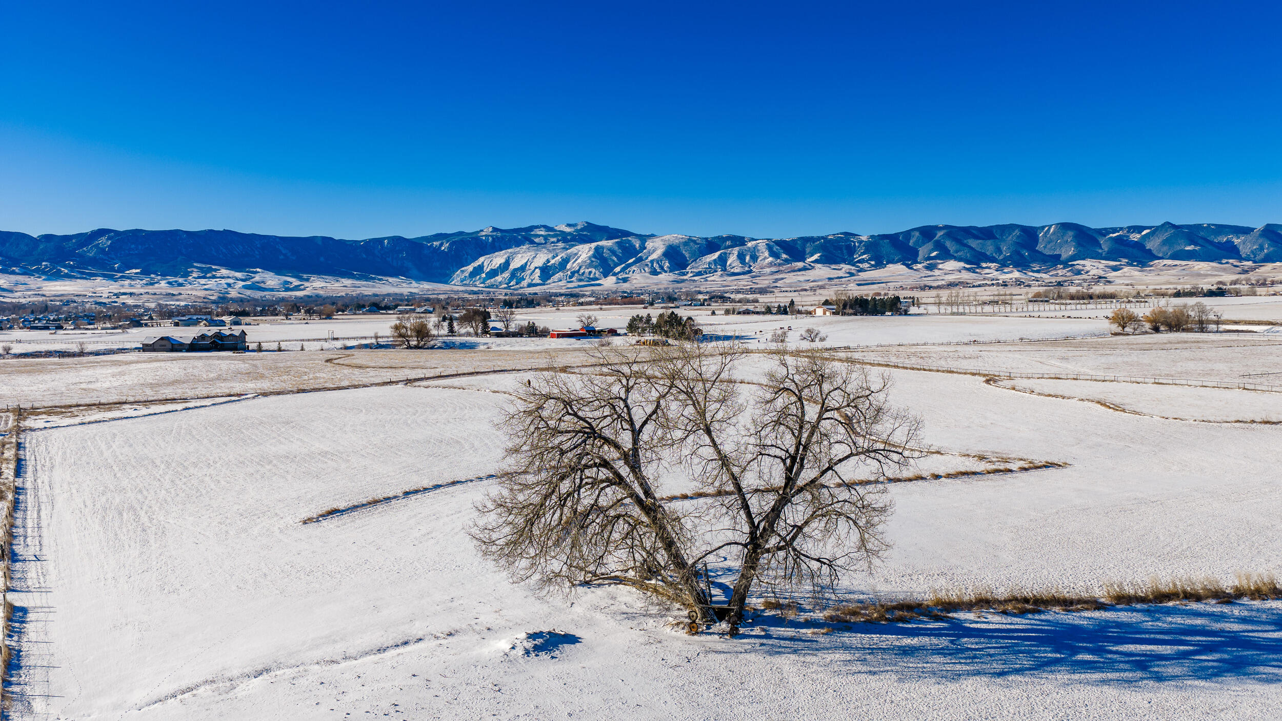 Metz Road Sheridan, WY 82801 - Photo 7 of 12 dji_20260220084941_0473_d