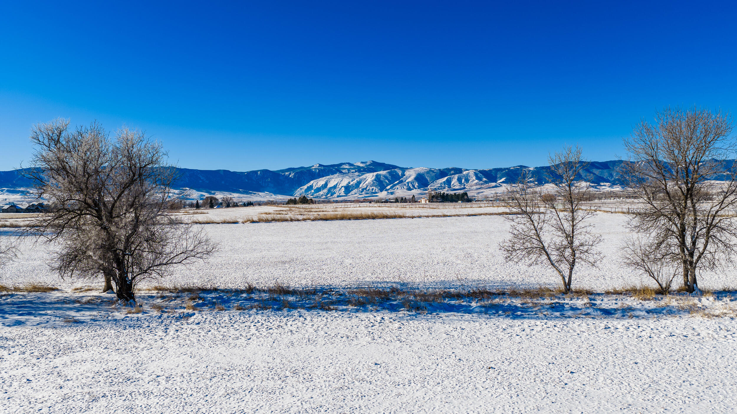 Metz Road Sheridan, WY 82801 - Photo 8 of 12 dji_20260220085212_0479_d