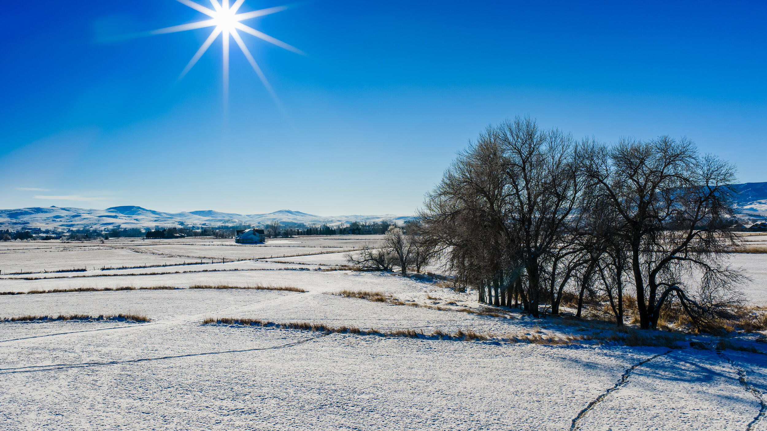 Metz Road Sheridan, WY 82801 - Photo 10 of 12 dji_20260220085309_0481_d