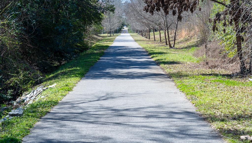 3305 Cherokee Avenue Columbus, GA 31906 - Photo 48 of 50 a view of park with large trees