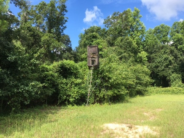 1012 Henry Folsom Road Adel, GA 31620 - Photo 13 of 20 Gallery Image 13