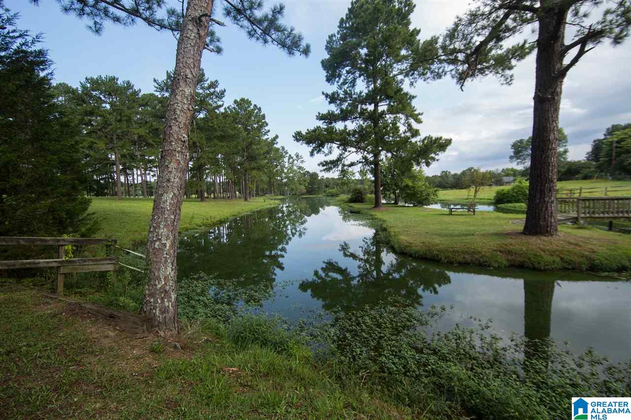 1366 Holland-Finley Road Jacksonville, AL 36265 - Photo 22 of 33