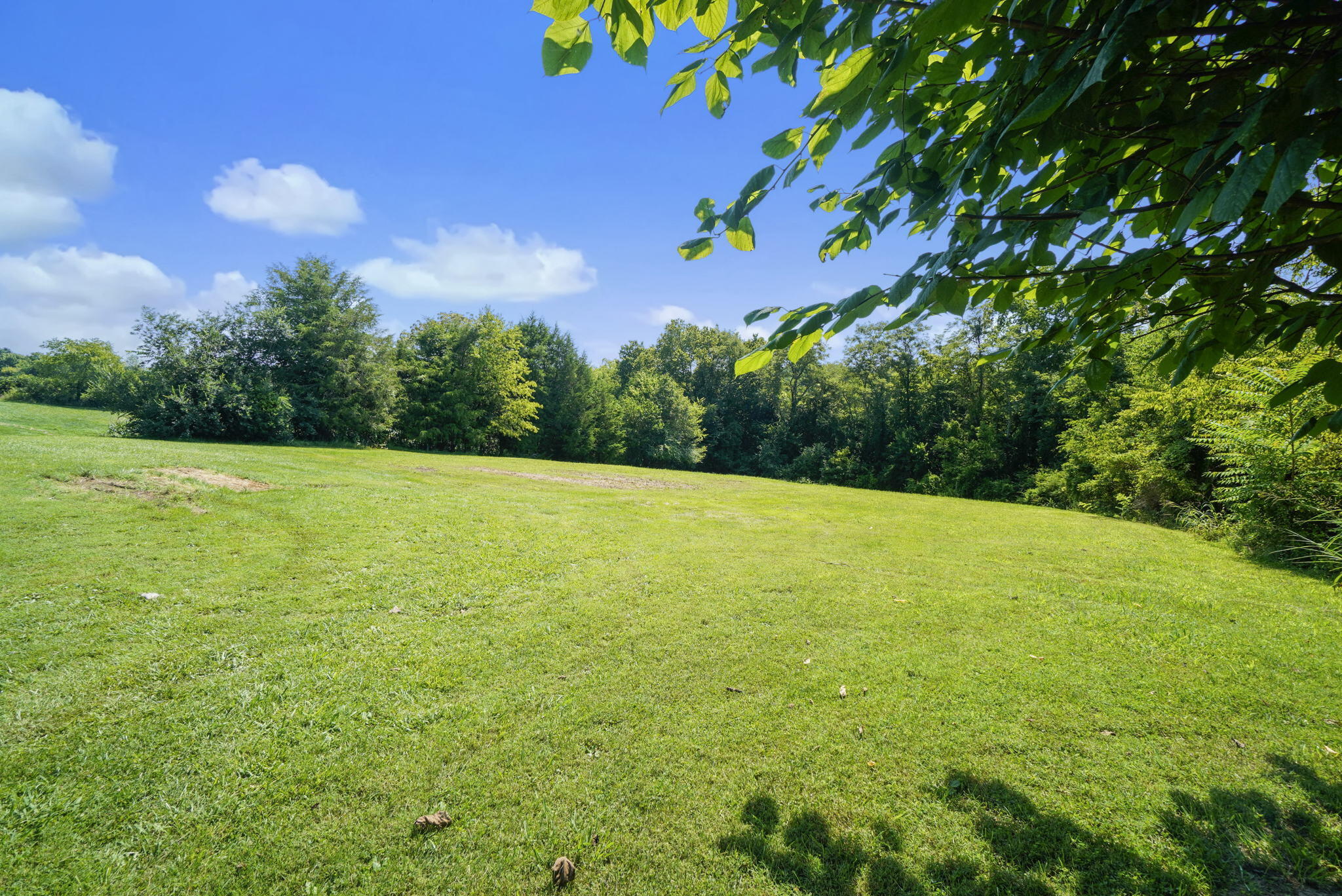 276 Opie Arnold Road Limestone, TN 37681 - Photo 5 of 21 21-web-or-mls-JH-Wed 20220803-074